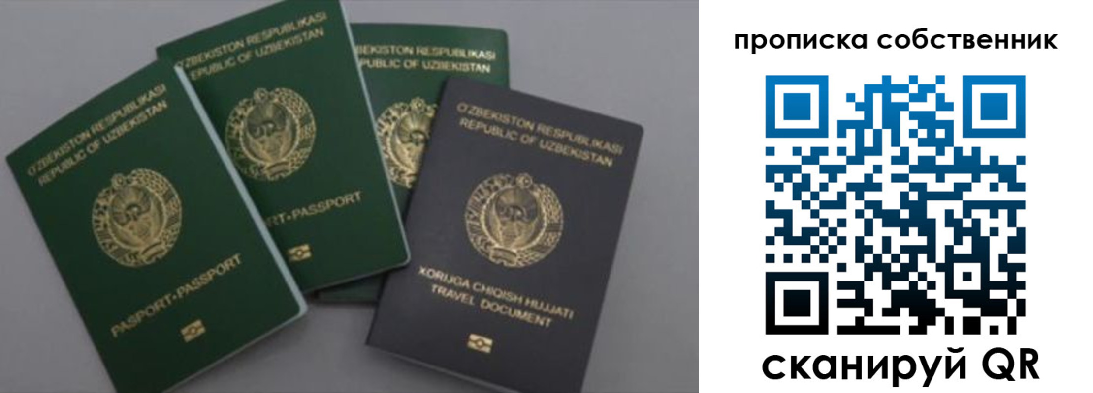 прописка штамп в Бородино